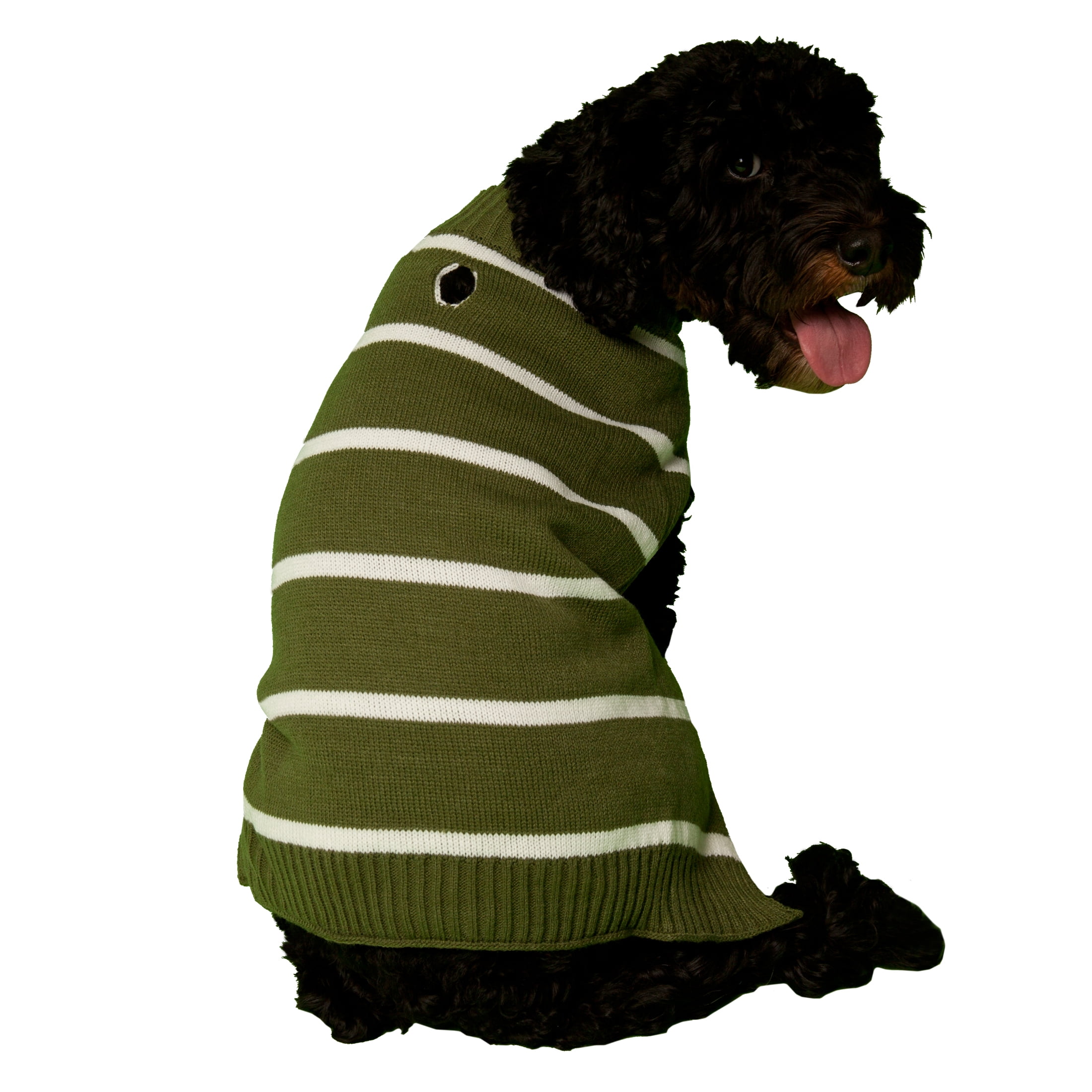 Vibrant Life Fall Forest Green Striped Dog Sweater