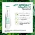 thumbnail image 2 of matrix biolage scalpsync antidandruff shampoo 13.5, 2 of 6