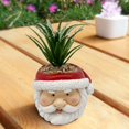 thumbnail image 2 of Artificial Christmas Flowers Christmas Resin Flower Pots, Plastic Flowers, Christmas Flower Pots, Succulent Flower Pots, Handicrafts, Garden Artificial Flower Decorations, 2 of 4