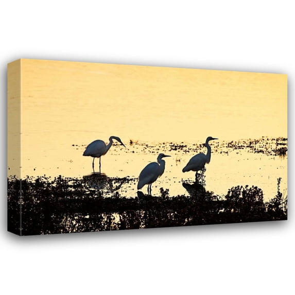 Alan Hausenflock 44x31 Gallery Wrapped Canvas Wall Art Titled - Egrets in the Sunrise I