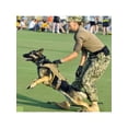 thumbnail image 4 of Durable Pet Dog Harness 1000D Nylon Breathable Mesh Nylon Handle Adjustable Training Vest Apparel Outdoor Pet Accessory, 4 of 8