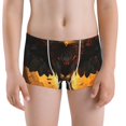 thumbnail image 5 of Yiaed Cool Black Eagle Print Boys' Boxer Briefs Cotton Casual Stretch Comfort Boys Boxers - Kids Boxer Briefs Underwear for Boys (6-18)-XX-Small, 5 of 5