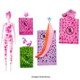 thumbnail image 4 of Muñeca Barbie Color Reveal Looks de Mezclilla, 4 of 4