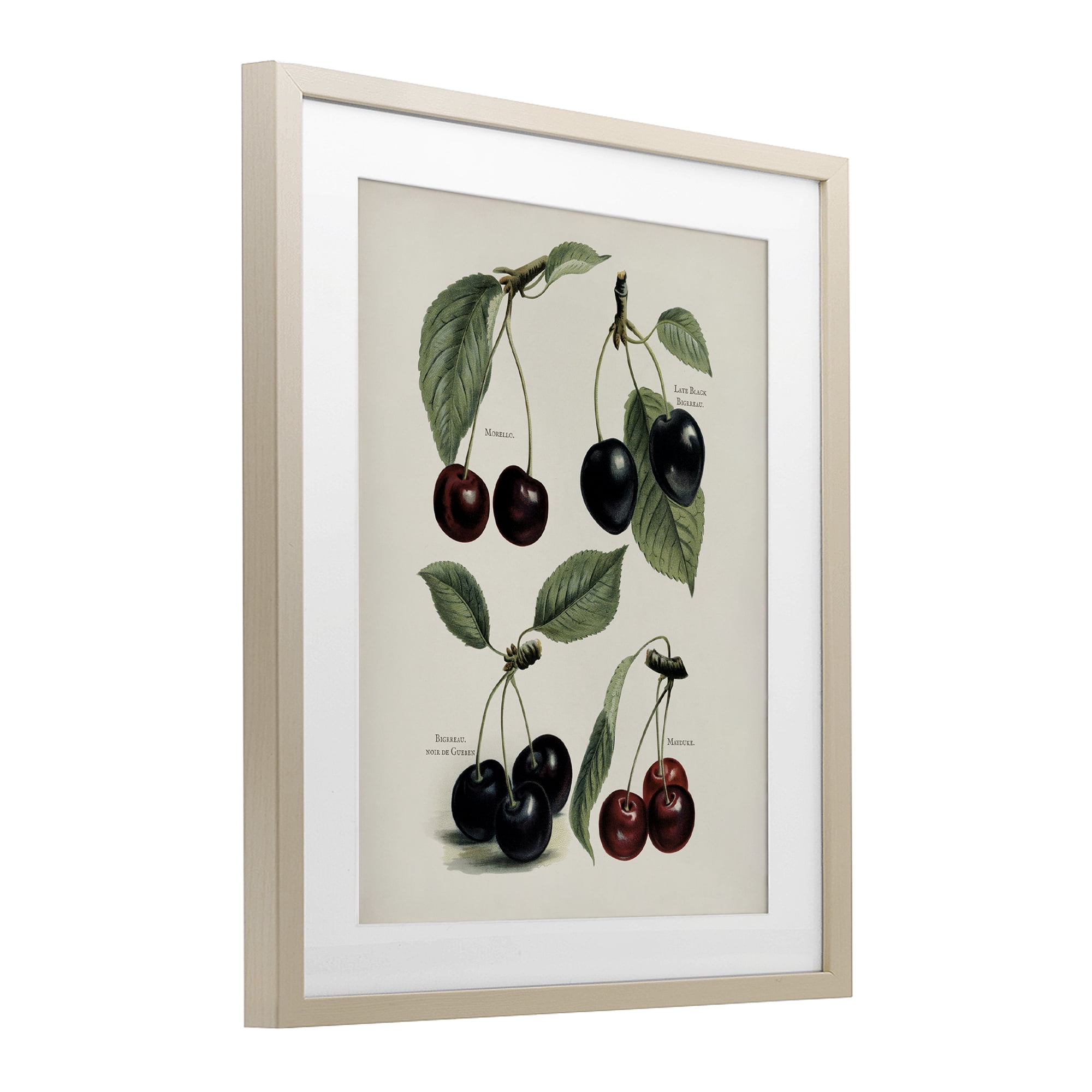 Natural Detailed Cherry Studies Birch Framed Print Under Glass, design by Lettered and Lined