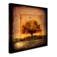 thumbnail image 2 of Trademark Fine Art 'For the Love of Trees III' Canvas Art by LightBoxJournal, 2 of 3