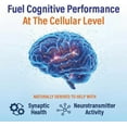 thumbnail image 5 of Neutein Natural Memory Support Supplement PhD Formulated Cognitive Support Plant Based 60 Capsules, 5 of 10