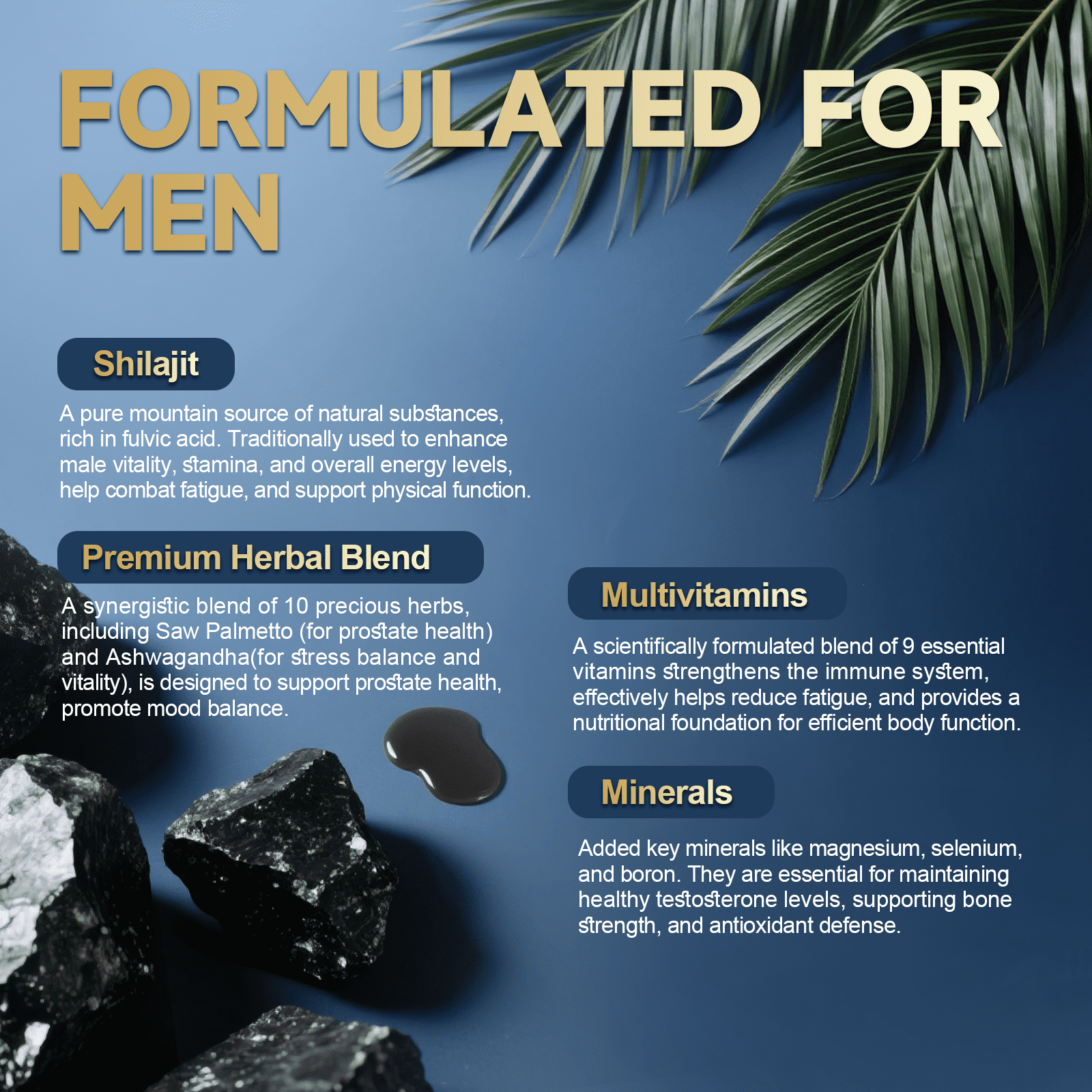 Totaria Shilajit Liquid Drops for Men, 30:1 Concentrated Blend, Supports Prostate Health, Energy & Immune Function, Pineapple Flavor, 4 Fl Oz, 2 Bottles