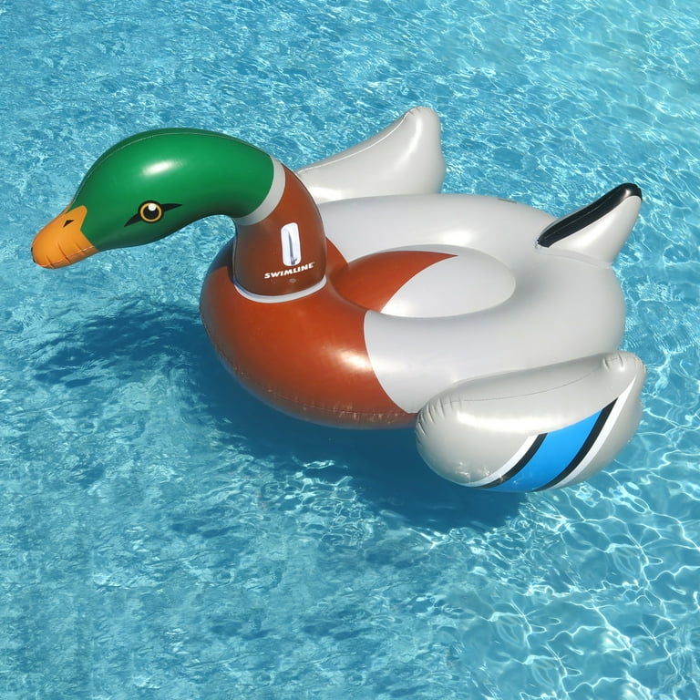 Stable Pool Float Swimline Inflatable Duck Pool Float - Large Ride-On ...