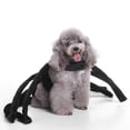 thumbnail image 4 of Ropa de Invierno Suave perfecl Accesorios de Perro Gato M Araña M, 4 of 8