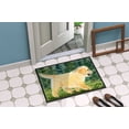 thumbnail image 4 of Caroline's Treasures Tapis Intérieur Ou Extérieur Golden Retriever, 24 x 36 Po., Résistant à la Décoloration, 4 of 4