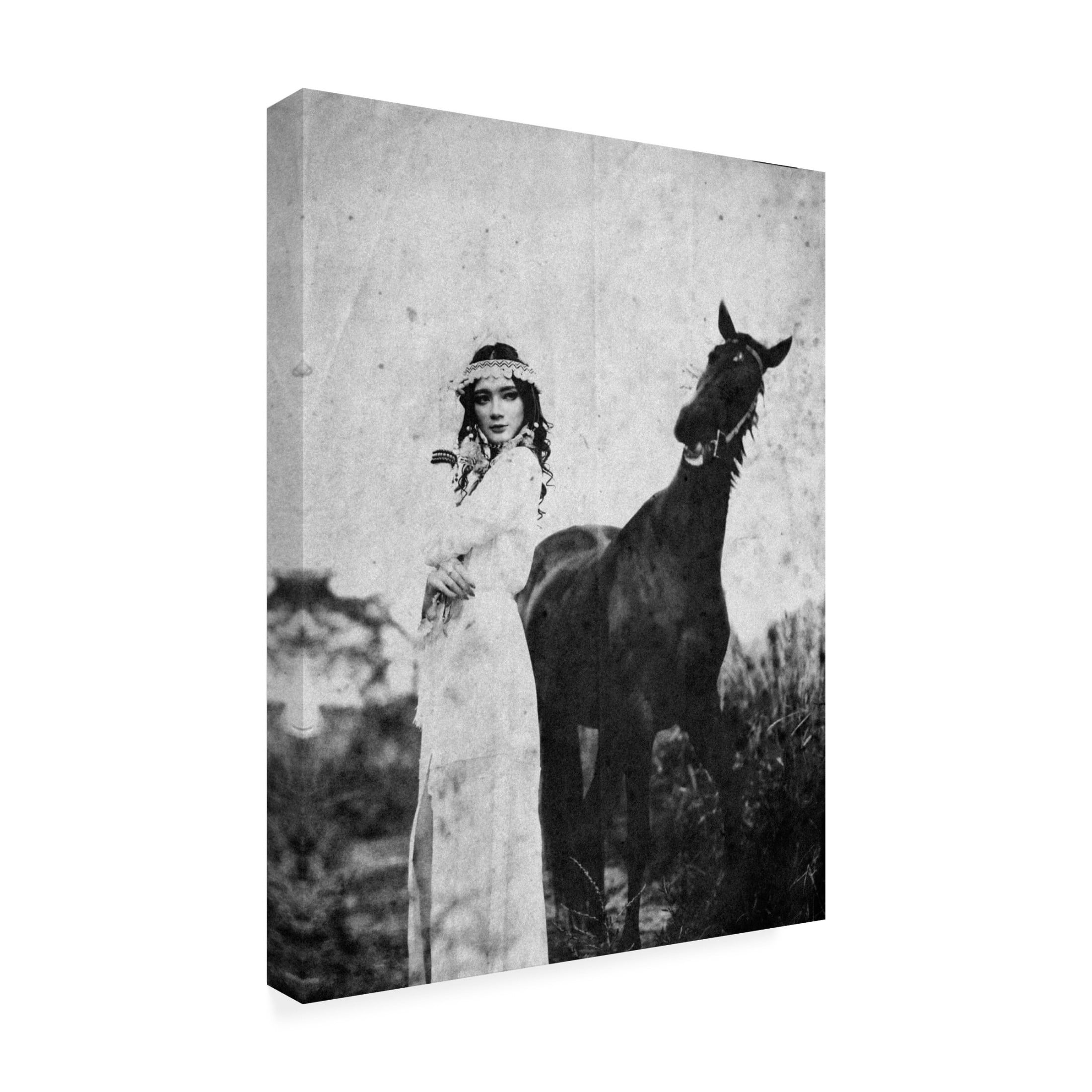 Canvas Wall Art - Abr Abe 'Napelu' Wall Art for Living Room, Bedroom, or Office Décor by Trademark Fine Art - 24 x 32 Inches