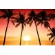 thumbnail image 2 of Fondo de Mar ABPHQTO 150x220cm Escena de Puesta de Sol Roja, 2 of 2