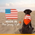 thumbnail image 2 of Hueso Masticable Nylabone Tocino y Pay de Manzana para Perros Regular Twin Pack, 2 of 9