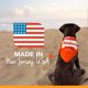 thumbnail image 2 of Hueso Masticable Nylabone Tocino y Pay de Manzana para Perros Regular Twin Pack, 2 of 9
