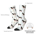 thumbnail image 4 of Rateoe Dachshund On A Skateboard for Women Casual Calf Socks - Cute Crew Socks - Thin Soft Above Ankle Socks Size 5-11, 4 of 6