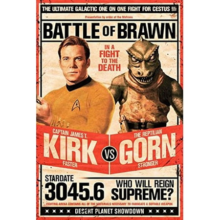 Star Trek - Captain Kirk vs The Reptilian Gorn 36x24 Art Print Poster Battle of