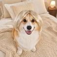 thumbnail image 5 of huayou Pet Bob Wig, Short Hair Costume Headpiece with Adjustable Tie Strap, Synthetic Hair Dress-up Accessory for Small & Medium Dogs and Cats, for Party, Cosplay & Daily Photography Use, 5 of 7