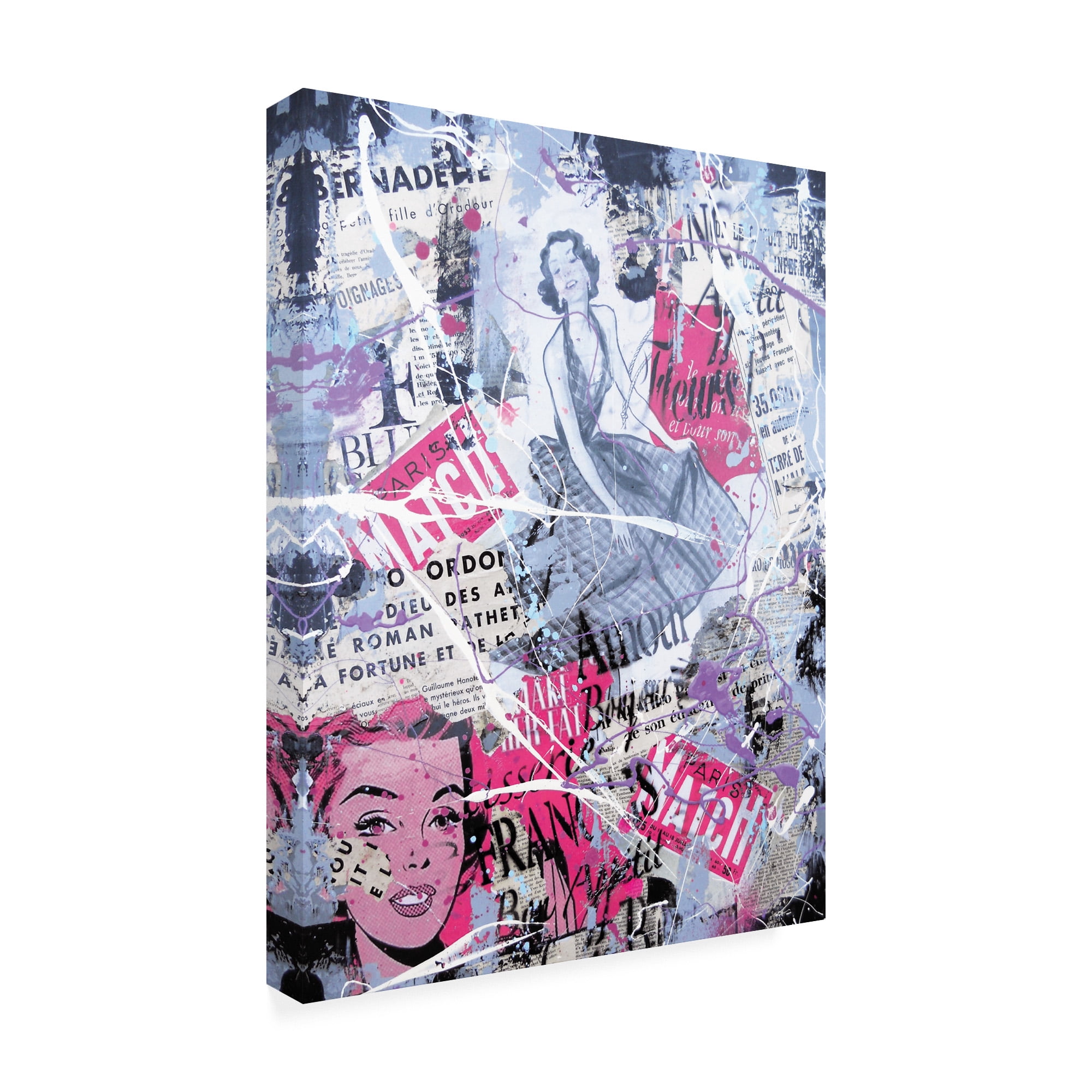 Trademark Fine Art 'Cosmo Collage' Canvas Art by David Drioton