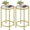Set of 2 Round Accent Tables Small Coffee End tables w/ Glass Top & Metal Frame