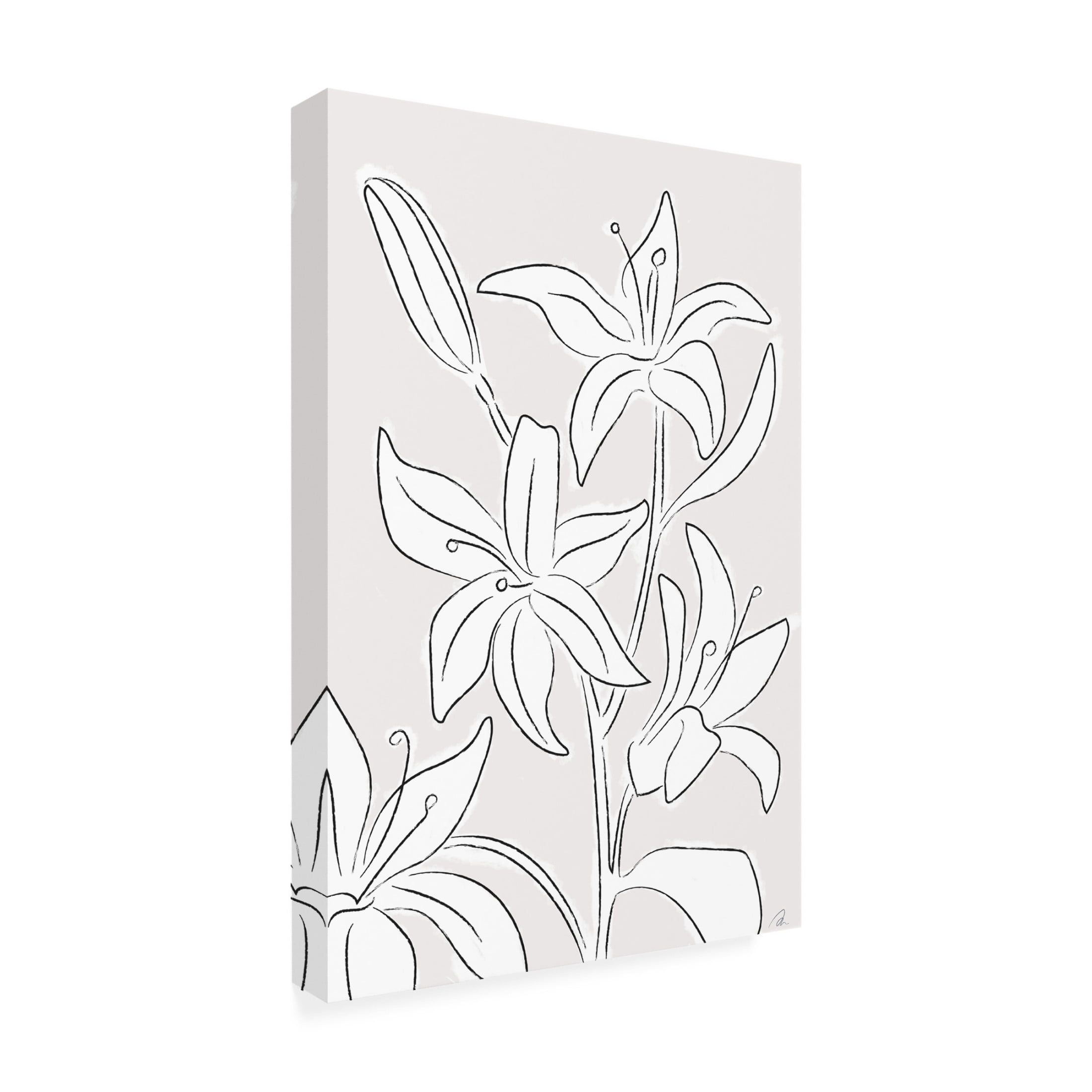 Trademark Fine Art Pictufy Studio Lillies No 03 Canvas Wall Art