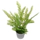 thumbnail image 5 of 1 pieza de adorno de planta de helecho de simulación creativa decoración de bonsái en maceta fresca, 5 of 5