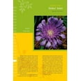 thumbnail image 4 of Coastal Garden Plants: Florida to Virginia, (Paperback), 4 of 4
