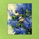 thumbnail image 5 of White Air outlet Nuevo Kit de pintura Diy por números, pintura al óleo Digital, lienzo de dos pájaros,, 5 of 5