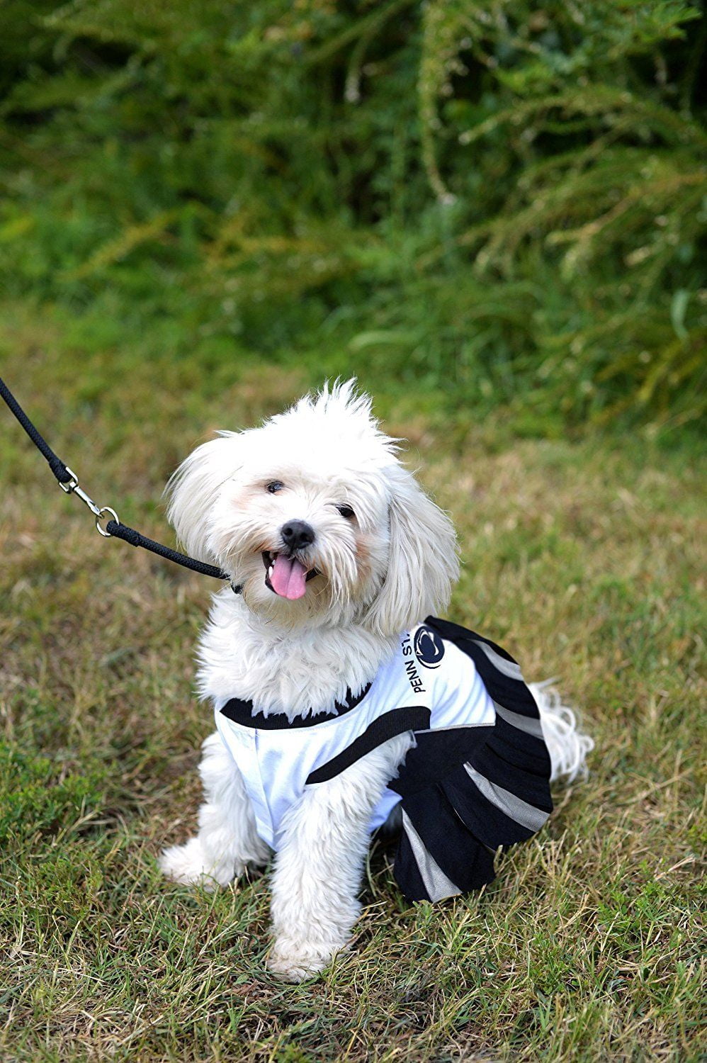 Detroit Lions Cheerleader Dog Dress