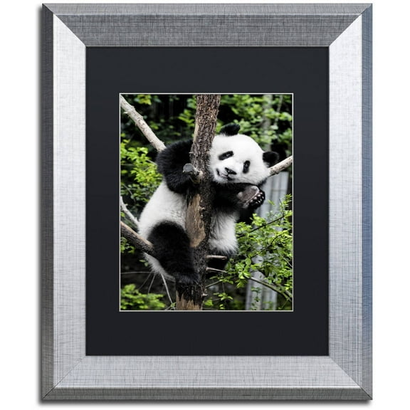Trademark Fine Art "Giant Panda II" Canvas Art by Philippe Hugonnard, Black Matte, Silver Frame
