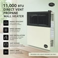 thumbnail image 3 of Ashley Hearth Products New 11,000 BTU Direct Vent Propane Wall Mount Heater, 3 of 10