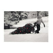 DaySpring Child Dragging Tree Christmas Card