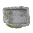 thumbnail image 3 of Xuanheng Crawler Feeding Dish, 3 of 8