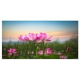 thumbnail image 2 of Design Art - Blooming Lotus Flowers at Sunset, 2 of 3