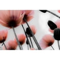 thumbnail image 3 of Allen, Kimberly 24x17 Black Modern Framed Museum Art Print Titled - Pink Poppies, 3 of 5