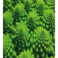 thumbnail image 3 of Nature Duvet Cover Set, Broccoli Kale Mother Earth Herbs Themed Fractal Background Foliage Modern Design, Decorative 3 Piece Bedding Set with 2 Pillow Shams, Queen Size, Lime Green, by Ambesonne, 3 of 3