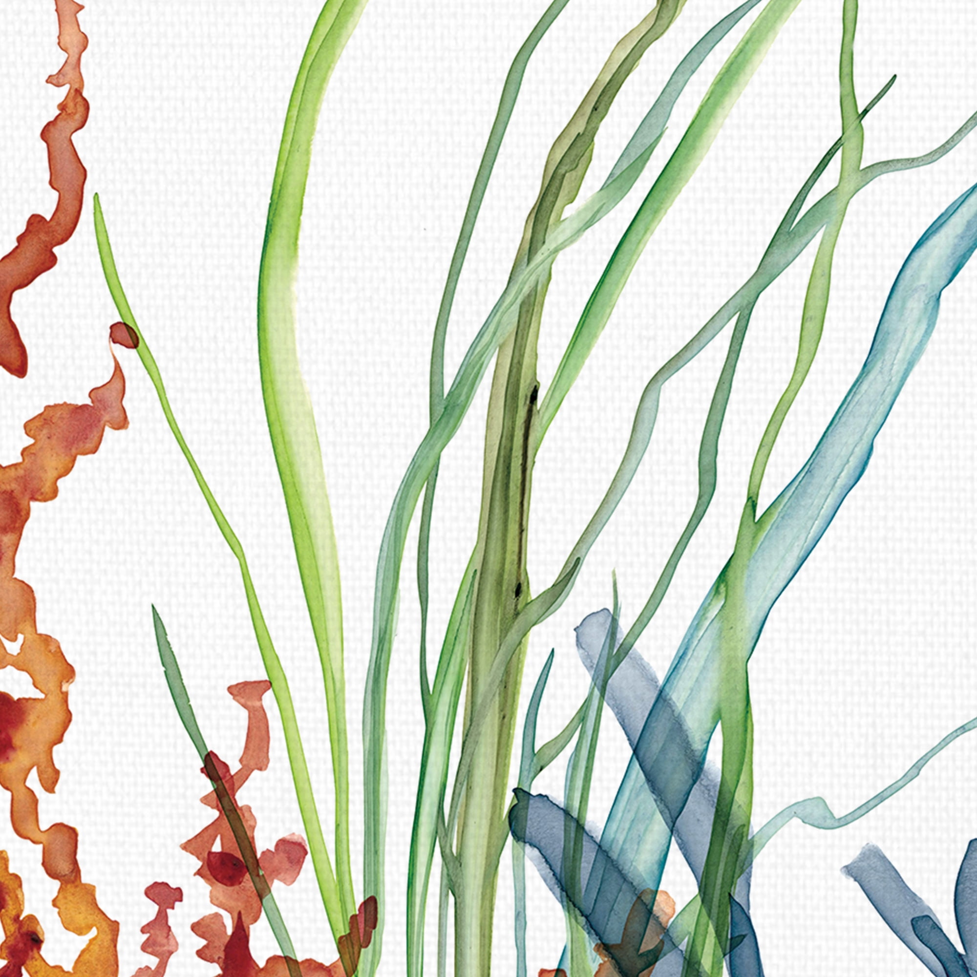 Masterpiece Art Gallery Ocean Magic I Marine Botanical by Carol Robinson Canvas Art Print