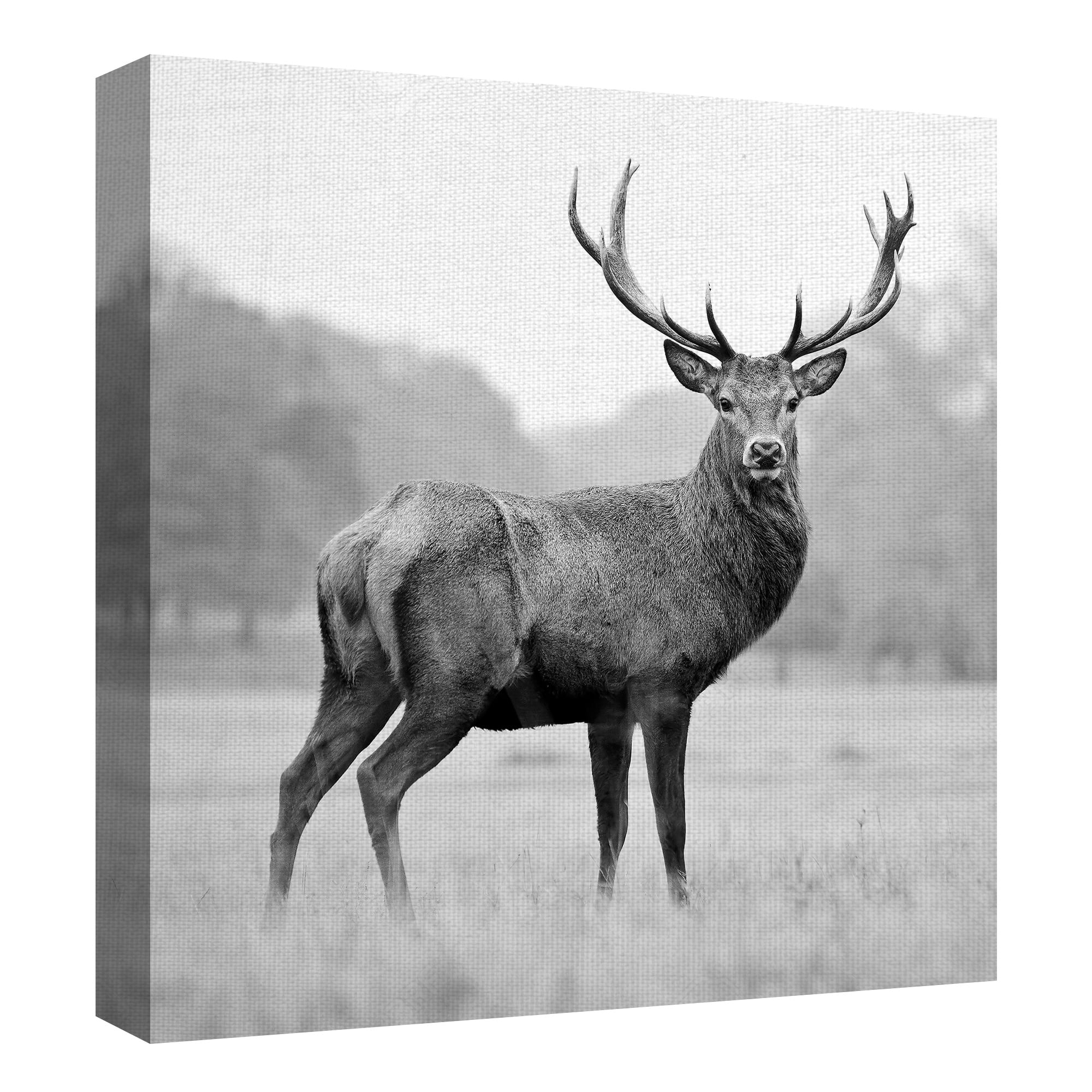 Masterpiece Art Gallery Proud Deer By PhotoINC Studio Canvas Art Print 30" x 30"