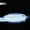 WHITE, variant on LED Car Hood Atmosphere Lght Strip Waterproof Auto Exterior Decoration Lighting Decorative Headlights Ambient Lamp 12V Universal