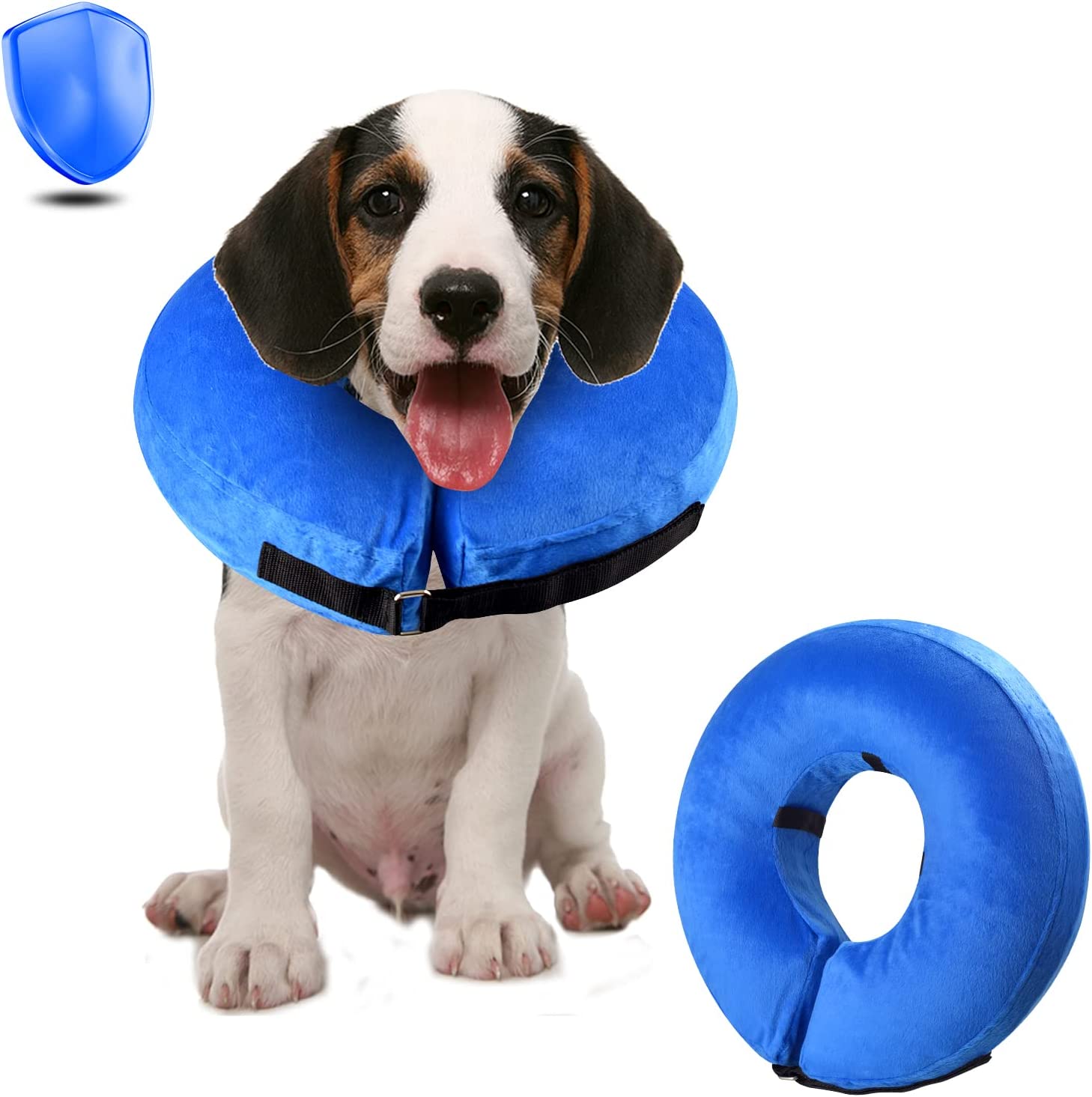 Alternatives To An E Collar