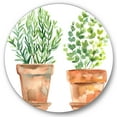 thumbnail image 2 of Designart - Two Green House Plants In Orange Flower Pots - Traditional Metal Circle Wall Art, 2 of 5