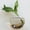 70-transparent, variant on Wall Hanging Vase for Hydroponic Plants, Half Round Transparent Glass with Mounting Nail, 10cm/12cm/15cm Sizes for Home Decor and Water Cultivation