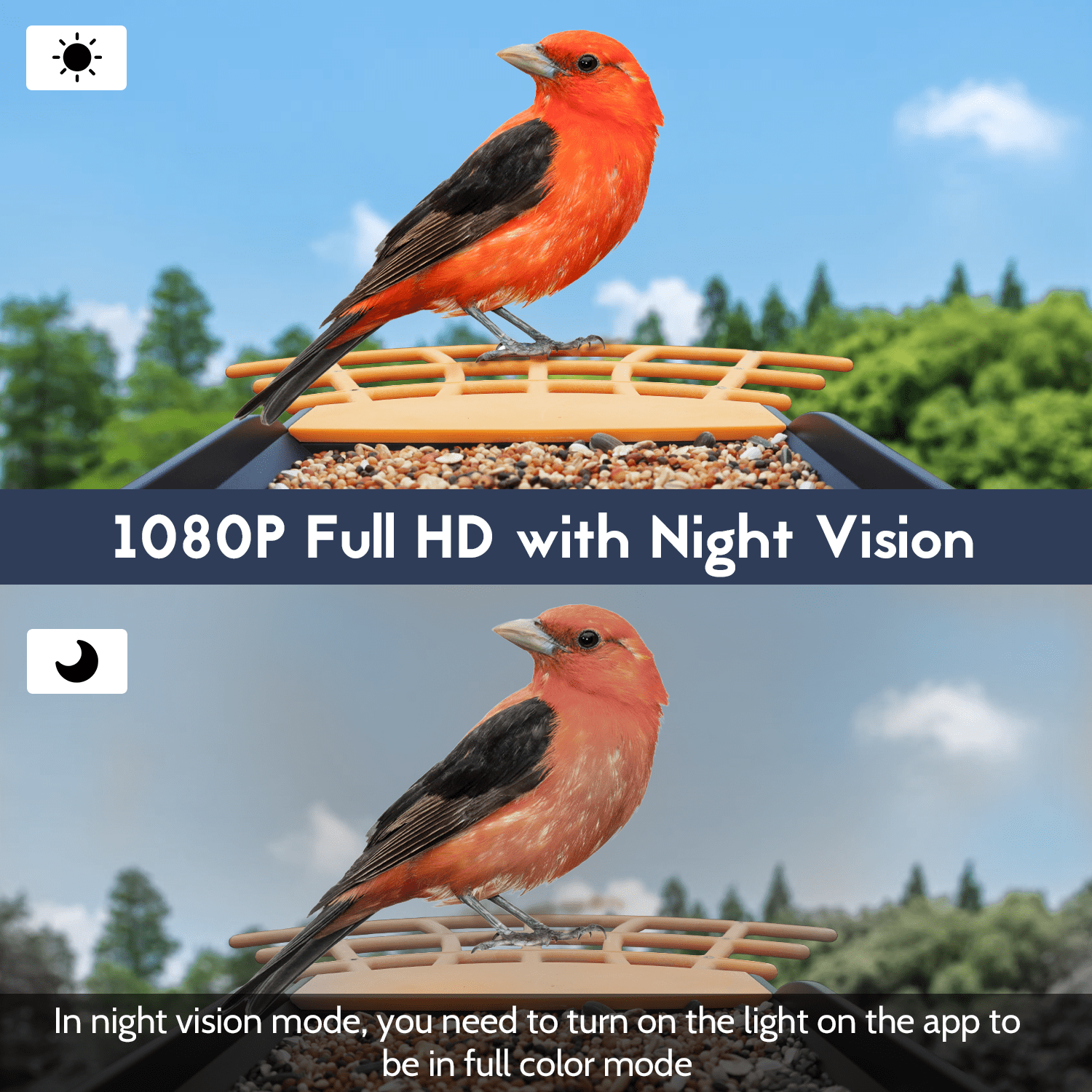 Birdkiss AI Bird Feeder Camera with Capture 1080P HD Images/videos, App Real Time Notification, Smart Bird Feeder for Bird Watching