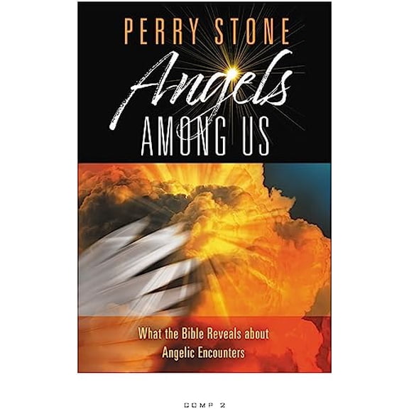 Pre-Owned Angels Among Us: What the Bible Reveals about Angelic Encounters (Hardcover) 1546035265 9781546035268