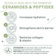thumbnail image 3 of Cell Fusion C Post Alpha Cica Cooling Mask 5ea Sensación de enfriamiento instantáneo con Centella Asiática y pantenol Mascarilla facial coreana hidratante y calmante para pieles propensas al acné, 3 of 5
