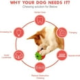 thumbnail image 2 of PEACNNG Strawberry Dog Chew Toy for Aggressive Chewers by , Durable Puppy Feeder Toys for IQ Training & Mental Enrichment, 2 of 5