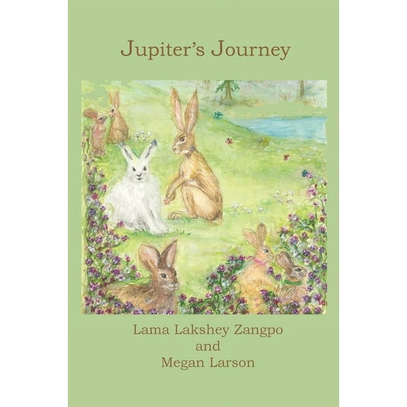 Jupiter's Journey, (Paperback)