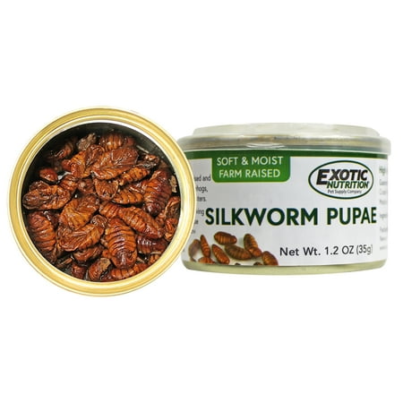 UPC: 0850001723749 | Exotic Nutrition Canned Silkworm Pupae 1.2 oz.
