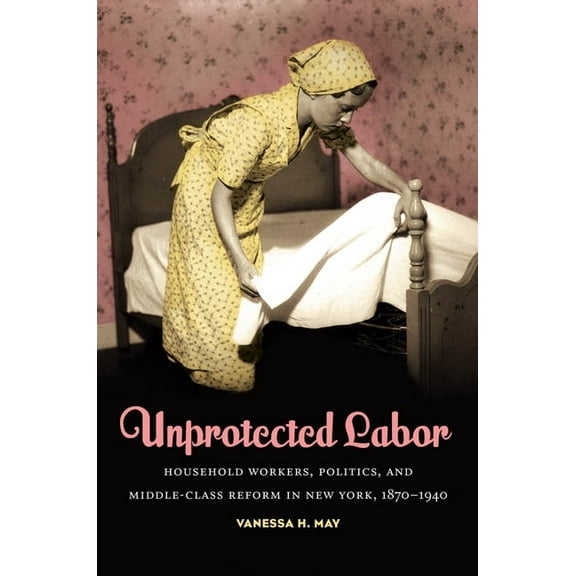 Unprotected Labor: Household Workers, Politics, and Middle-Class Reform in New York, 1870-1940, (Paperback)