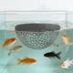 thumbnail image 3 of Accesorio de Acuario Área de Descanso para Peces Flotante, Materiales Seguros y Duraderos, Proporciona Escondites para Peces de Agua Dulce y Salada, 3 of 5