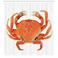 thumbnail image 3 of Ambesonne National Shower Curtain, Cooked Dungeness Crab, 69"Wx75"L, Orange White, 3 of 3